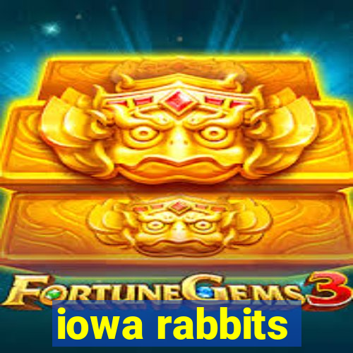 iowa rabbits