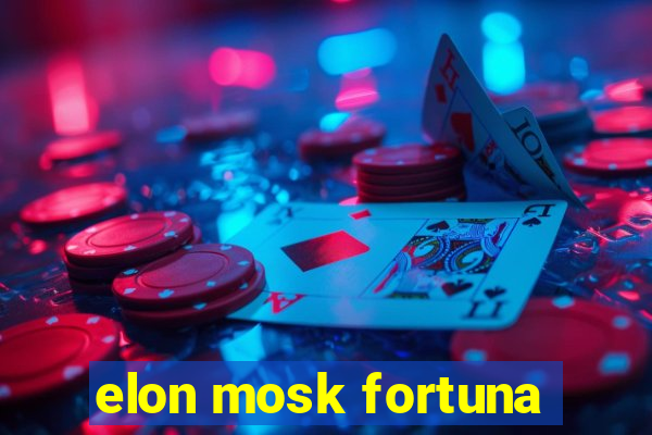 elon mosk fortuna