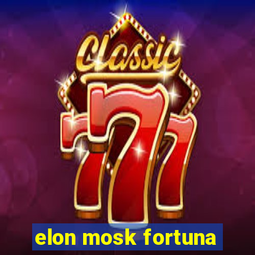 elon mosk fortuna