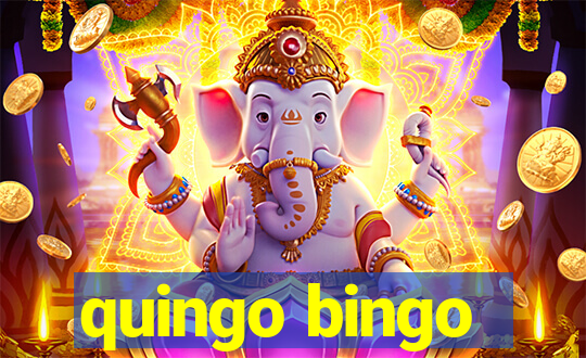 quingo bingo