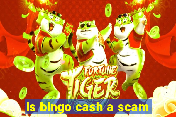 is bingo cash a scam