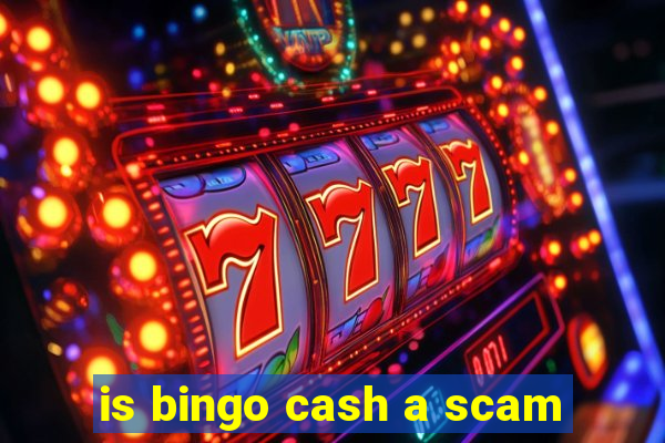 is bingo cash a scam