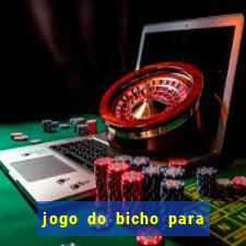 jogo do bicho para ganhar dinheiro