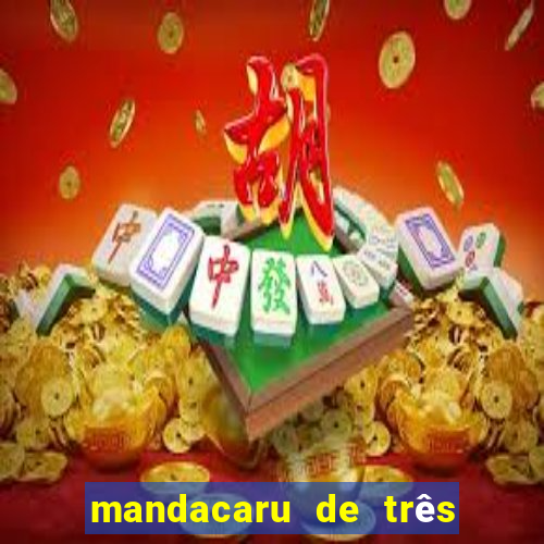 mandacaru de três quinas serve para que