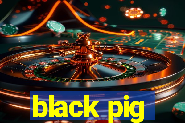 black pig