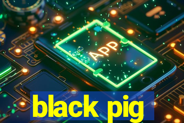 black pig