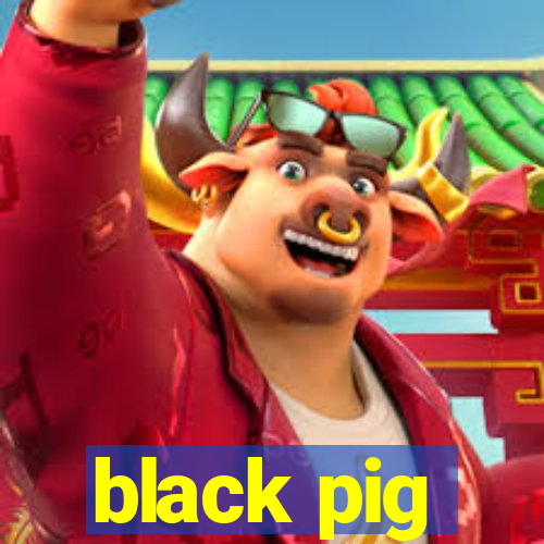 black pig