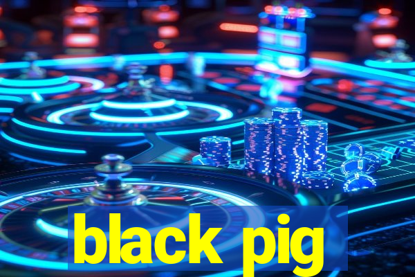 black pig