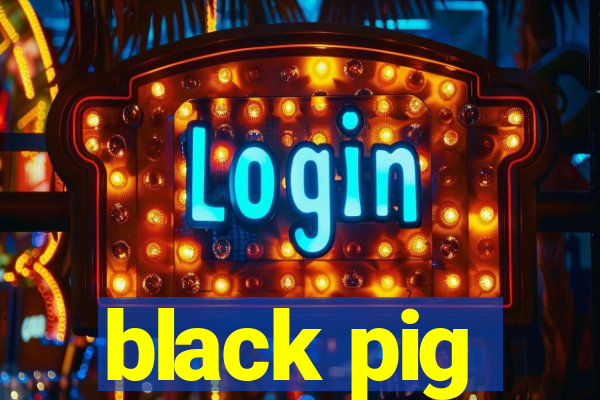 black pig