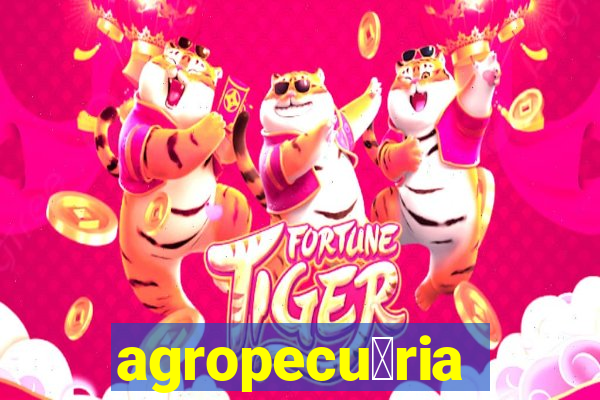 agropecu谩ria jaragua do sul