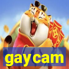 gaycam