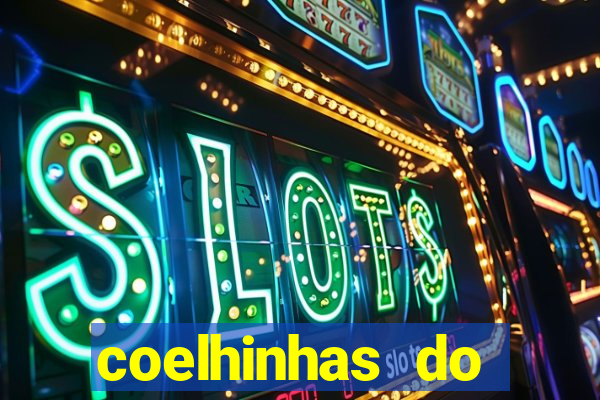 coelhinhas do brasil recife