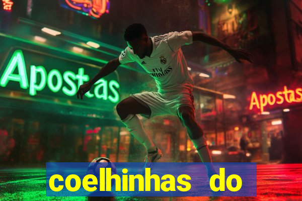 coelhinhas do brasil recife