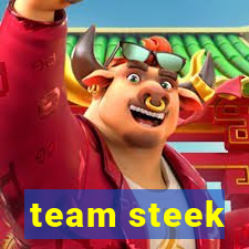 team steek