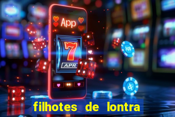 filhotes de lontra para vender