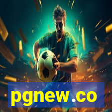 pgnew.co