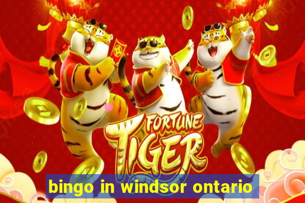 bingo in windsor ontario