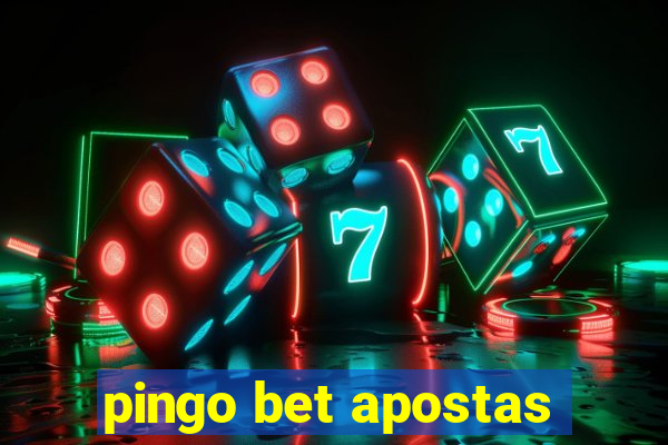 pingo bet apostas