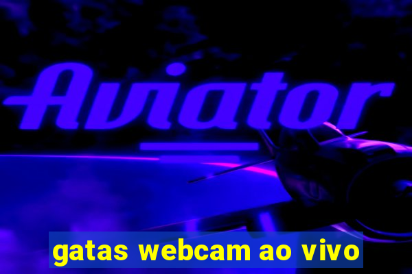 gatas webcam ao vivo