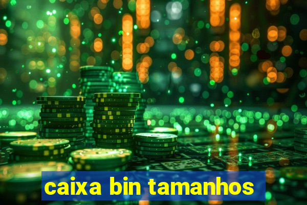 caixa bin tamanhos