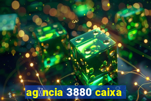 ag锚ncia 3880 caixa