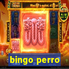 bingo perro