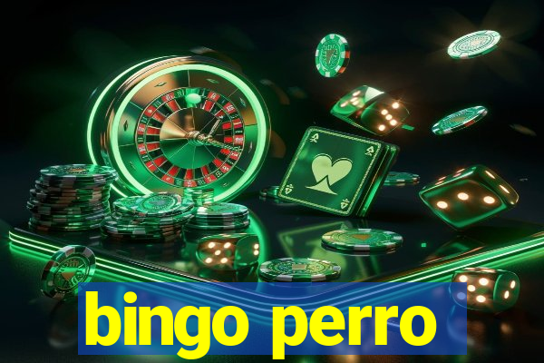 bingo perro