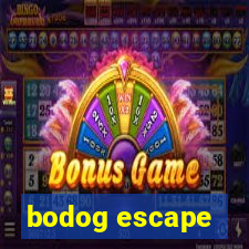 bodog escape