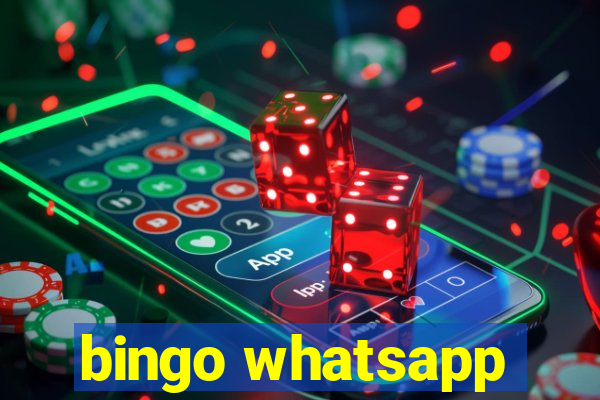 bingo whatsapp