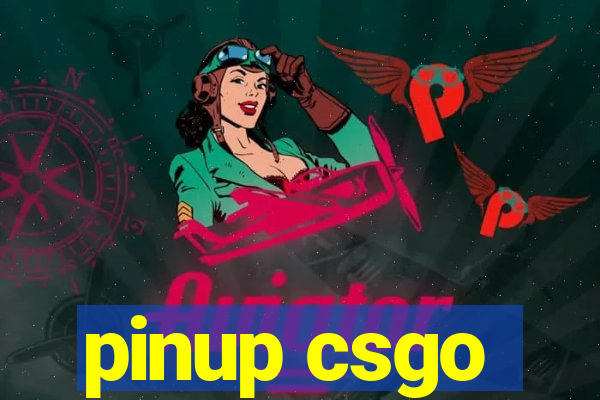 pinup csgo