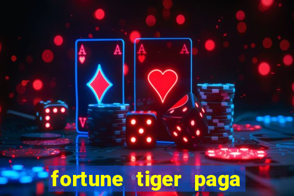 fortune tiger paga de madrugada