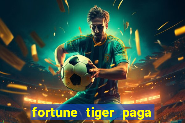 fortune tiger paga de madrugada