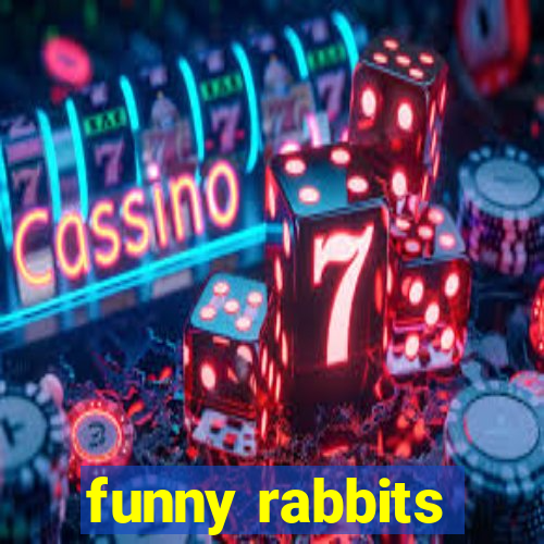 funny rabbits