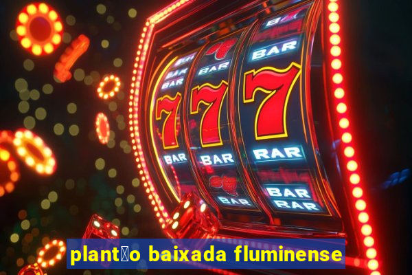 plant茫o baixada fluminense