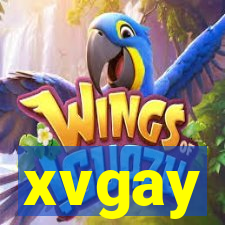 xvgay