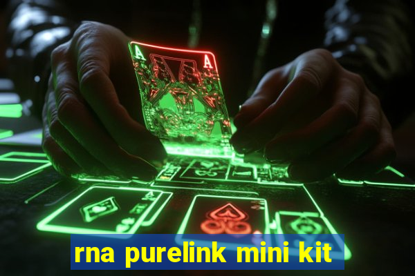 rna purelink mini kit