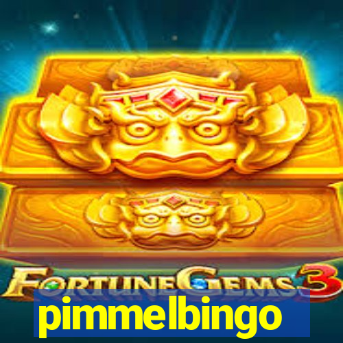 pimmelbingo