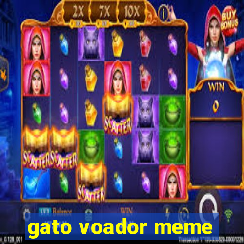 gato voador meme