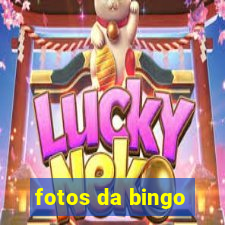 fotos da bingo