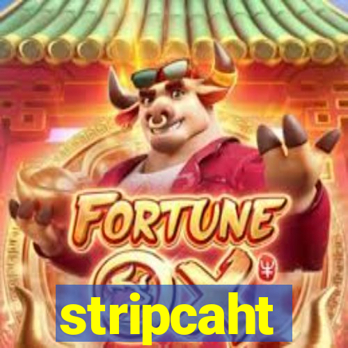 stripcaht