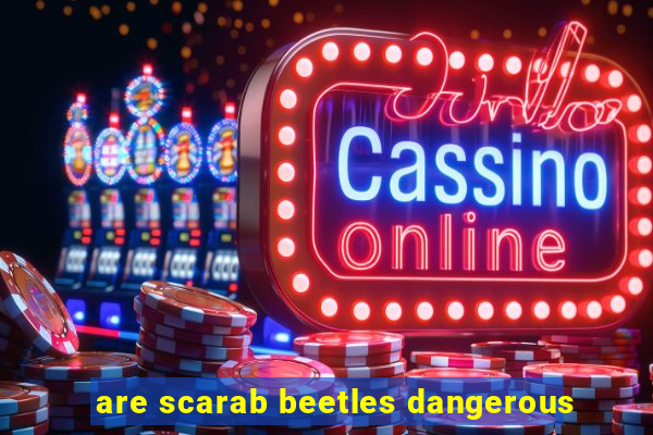 are scarab beetles dangerous