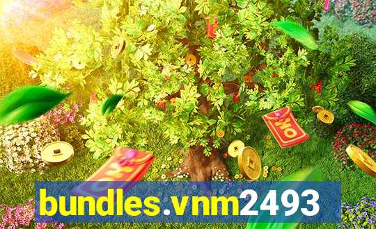 bundles.vnm2493