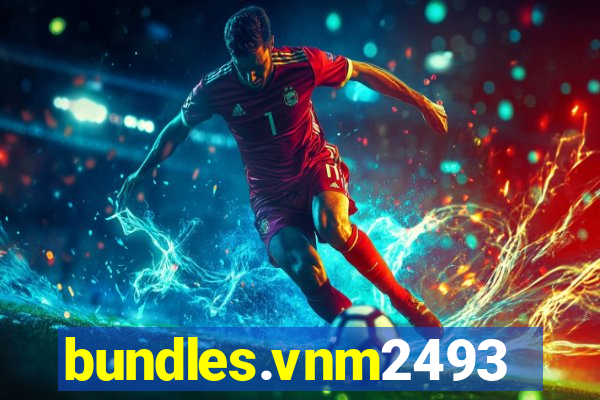 bundles.vnm2493