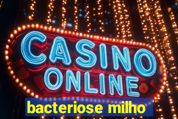 bacteriose milho