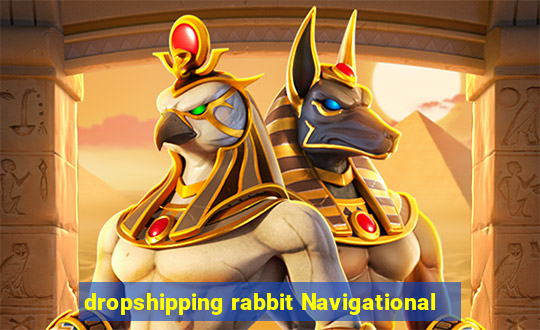 dropshipping rabbit Navigational