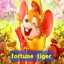 fortune tiger plataforma nova