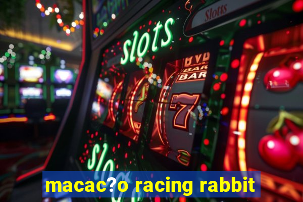 macac?o racing rabbit