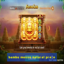 bambu mosso natural pre莽o