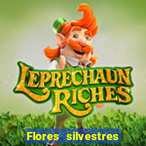 Flores silvestres brasileiras 25