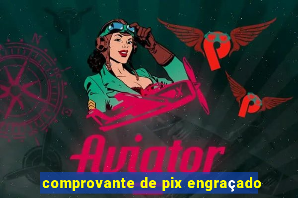 comprovante de pix engraçado